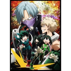 僕のヒーローアカデミア 14 アニメDVD同梱版