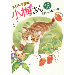 キジトラ猫の小梅さん　１８