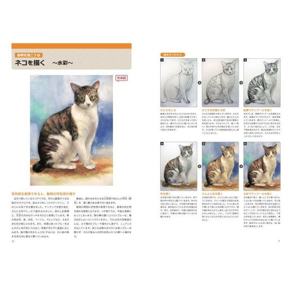 動物デッサンの基本とコツ ゼロから学ぶプロの技法 驚くほどリアルに描ける 完成度が上がる 通販 セブンネットショッピング