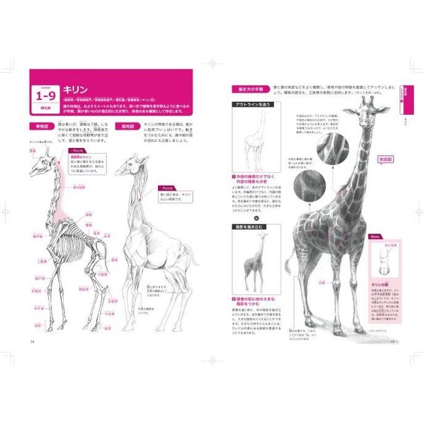 動物デッサンの基本とコツ ゼロから学ぶプロの技法 驚くほどリアルに