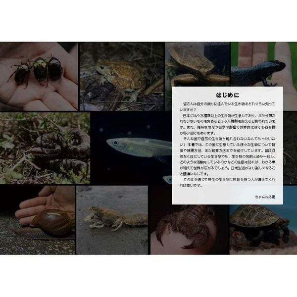 ちゃんねる鰐の生き物捕獲大全