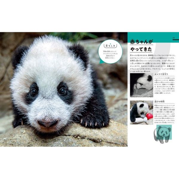 びっくり！動物園のおしごと大図鑑 70のひみつにせまる！ 通販