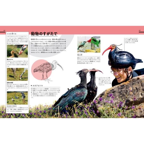 びっくり！動物園のおしごと大図鑑 70のひみつにせまる！ 通販