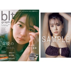 blt graph.vol.95 福岡みなみ 写真パネル - その他