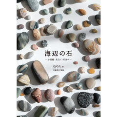 海辺の石　小図鑑・見立て・石並べ