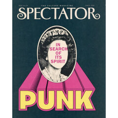 ＳＰＥＣＴＡＴＯＲ　Ｖｏｌ．５４（２０２５）　パンクの正体