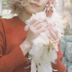 Red　Comb