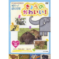 NHK DVD ダーウィンの動物大図鑑 はろ～！あにまる きょうのかわいい！ ラブリーな動物大集合 コアラ・カピバラ・アカカンガルー（ＤＶＤ）