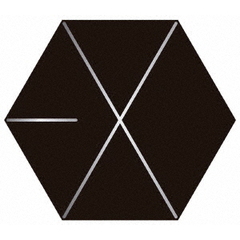 EXO／EXO FILMLIVE JAPAN TOUR - EXO PLANET 2021 -＜初回生産限定盤／Blu-ray＞（Ｂｌｕ－ｒａｙ）