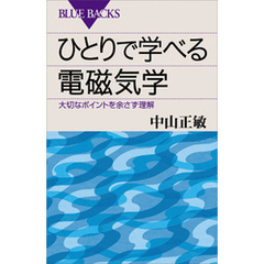 ひとりで学べる電磁気学　大切なポイントを余さず理解