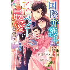 国際弁護士はママとベビーに最愛を誓う～婚姻解消するはずが、旦那様の独占欲で囲われました～