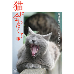 猫に会いたくて 路地裏はみんニャのパラダイス