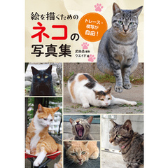 絵を描くためのネコの写真集