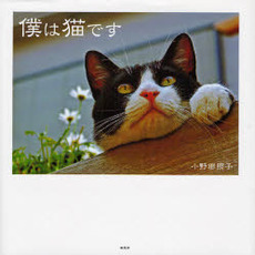 僕は猫です