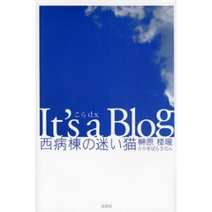 Ｉｔ’ｓ　ａ　Ｂｌｏｇ　西病棟の迷い猫