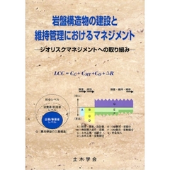 岩盤構造物の建設と維持管理におけるマネジメント　ジオリスクマネジメントへの取り組み