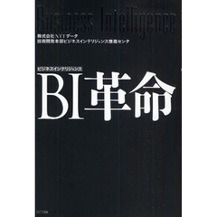 ＢＩ革命