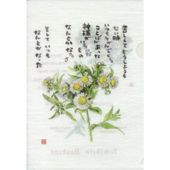 和紙風クリアファイル　ヒメジョオン