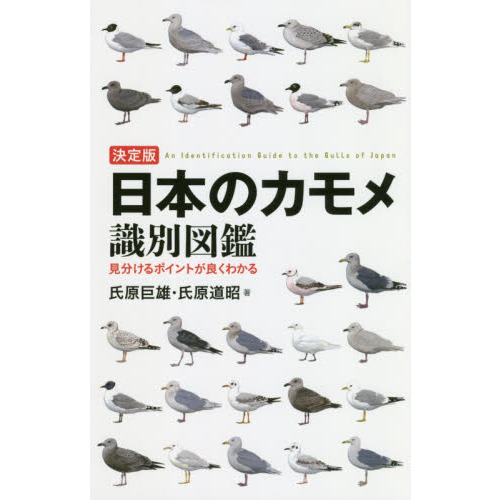 日本のカモメ識別図鑑 決定版 見分けるポイントが良くわかる 通販 セブンネットショッピング
