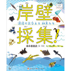 岸壁採集！　漁港で出会える幼魚たち