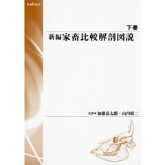 新編　家畜比較解剖図説　下