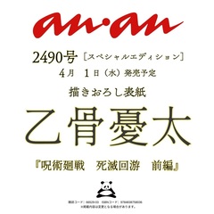 anan No.2490 Special Edition