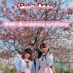 君の咲く道／underdog　symphony
