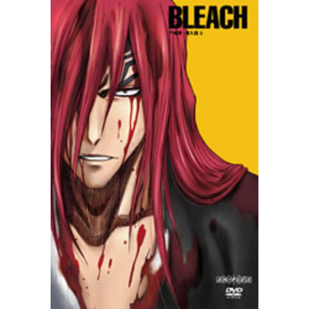 BLEACH ブリーチ 尸魂界（ソウル・ソサエティ） 潜入篇 3（ＤＶＤ）