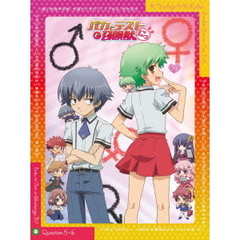 バカとテストと召喚獣にっ！ 第3巻（ＤＶＤ）