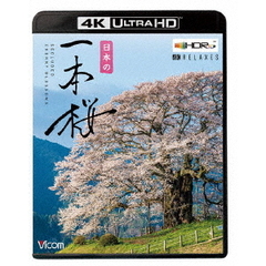 ビコム 4K Relaxes（リラクシーズ） 日本の一本桜 【4K・HDR】（Ｕｌｔｒａ　ＨＤ）