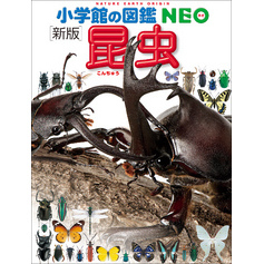 小学館の図鑑NEO〔新版〕昆虫