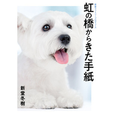 虹の橋からきた手紙