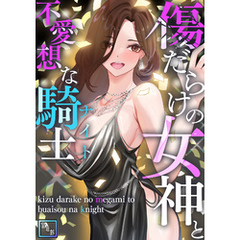 傷だらけの女神と不愛想な騎士(ナイト)【全年齢版】(2)