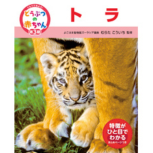 くらべてみよう！どうぶつの赤ちゃん　２１　トラ