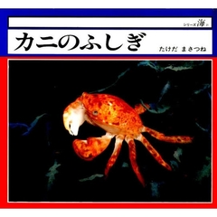カニのふしぎ