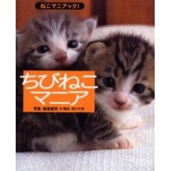 ちびねこマニア　ふわふわすやすやころんころん……マニアなあなたも降参！の６匹のちびねこたち。