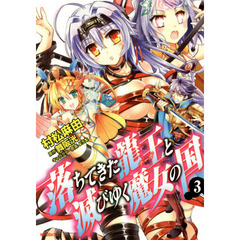 落ちてきた龍王（ナーガ）と滅びゆく魔女の国　３