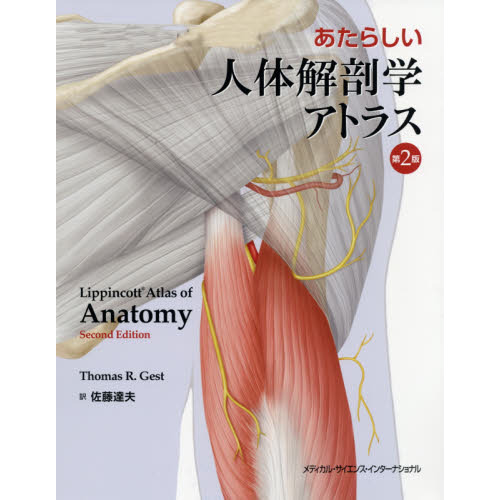 ֥ͥåȥåԥ󥰤㤨֤餷β˶إȥ饹裲ǡפβǤʤ7,700ߤˤʤޤ