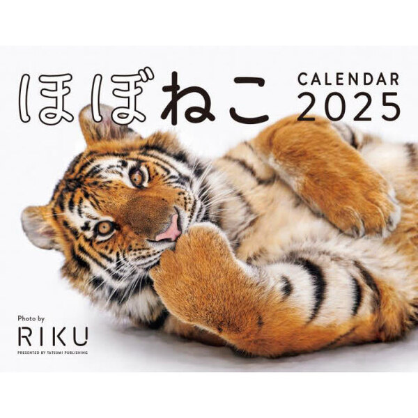 25 ほぼねこカレンダー 通販｜セブンネットショッピング