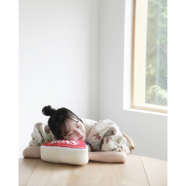 6Pチーズ 70th anniversary BOOK (宝島社ブランドムック) 通販｜セブン