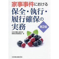 家事事件における保全・執行・履行確保の実務　第２版