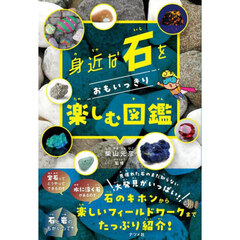 身近な石をおもいっきり楽しむ図鑑