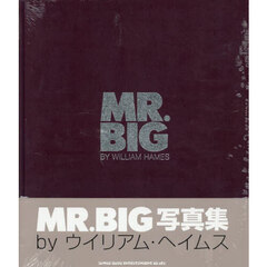 ＭＲ．ＢＩＧ写真集　豪華愛蔵版