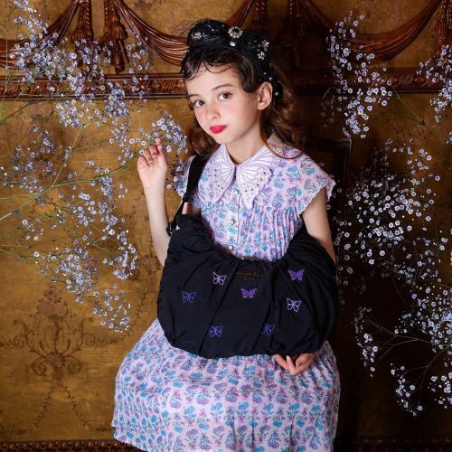 ANNA SUI mini 2wayクロワッサンバッグBOOK (宝島社ブランドムック