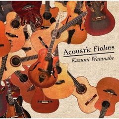 Acoustic Flakes