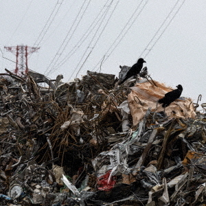 ֥ͥåȥåԥ󥰤㤨suburbanbluesפβǤʤ2,200ߤˤʤޤ