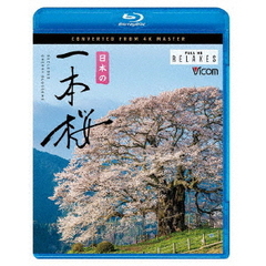 ビコム Relaxes（リラクシーズ） BD 日本の一本桜 4K撮影作品（Ｂｌｕ－ｒａｙ）