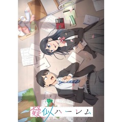 TVアニメ 「疑似ハーレム」 Blu-ray BOX（Ｂｌｕ－ｒａｙ）