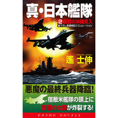 真・日本艦隊（2）復讐の沖縄突入
