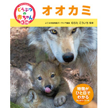 くらべてみよう！どうぶつの赤ちゃん　２２　オオカミ